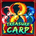 Treasure Carp screenshot